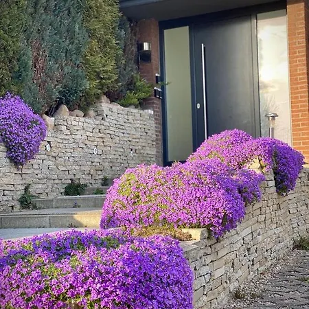 Lägenhet Strandgut- Familien - Hunde - Strandnah - Eigene Terrasse - Sauna & Wellness Sierksdorf